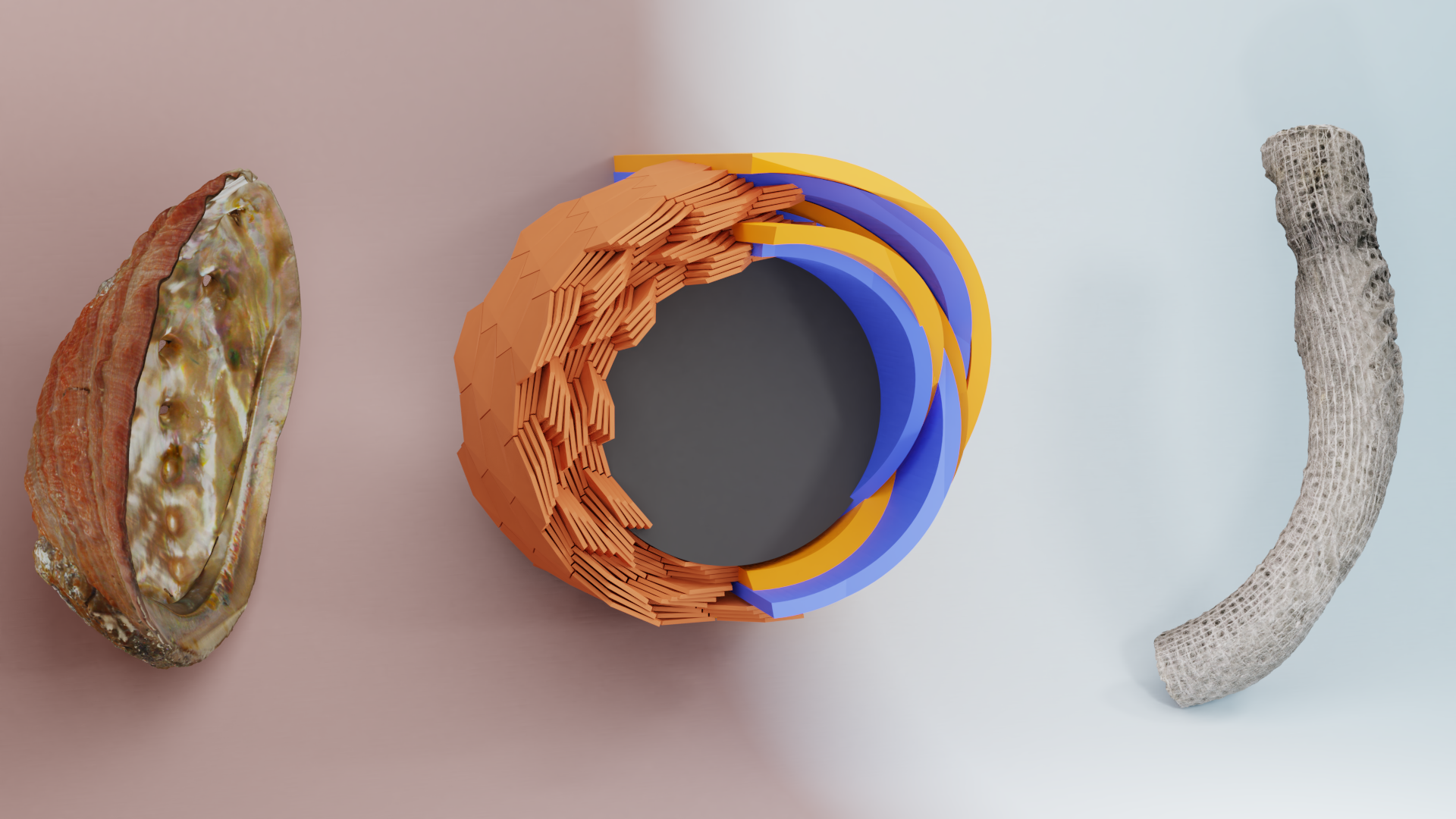 Abstraction scheme for bio-inspired coatings